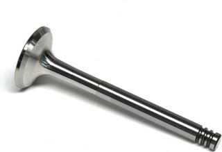 Gunes 5994