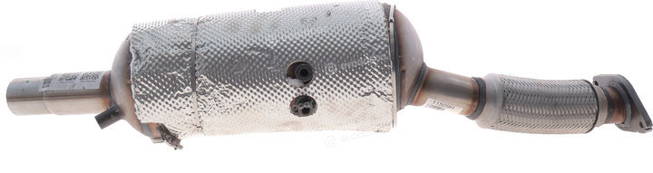 BM Catalysts BM11509H