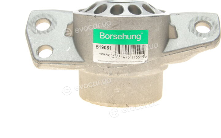 Borsehung B19081