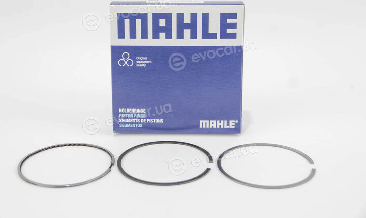 Mahle 030 31 N1