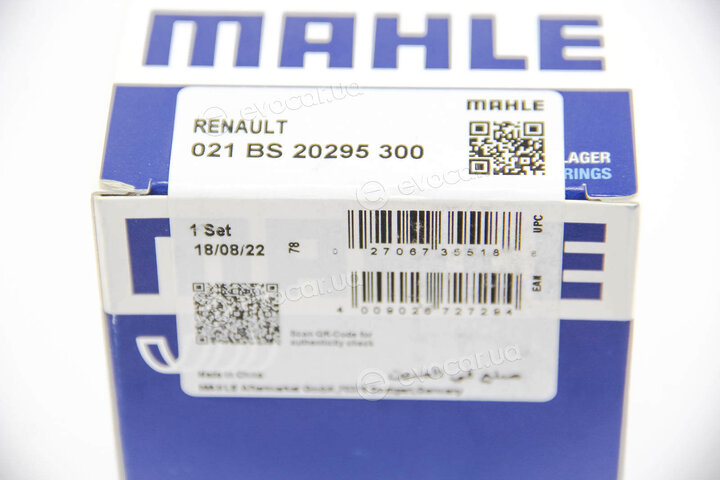 Mahle 021 BS 20295 300
