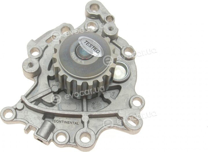 Continental WP6136