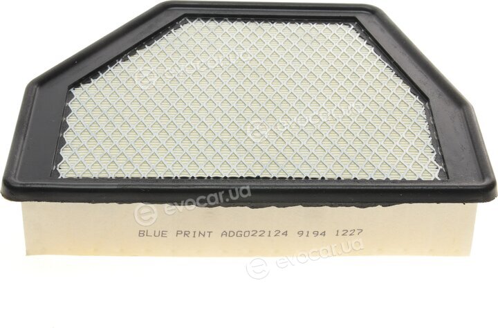 Blue Print ADG022124