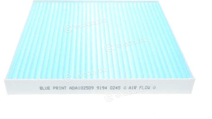 Blue Print ADA102509