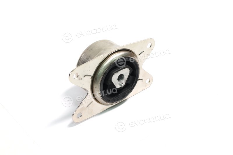 Sasic 9002485