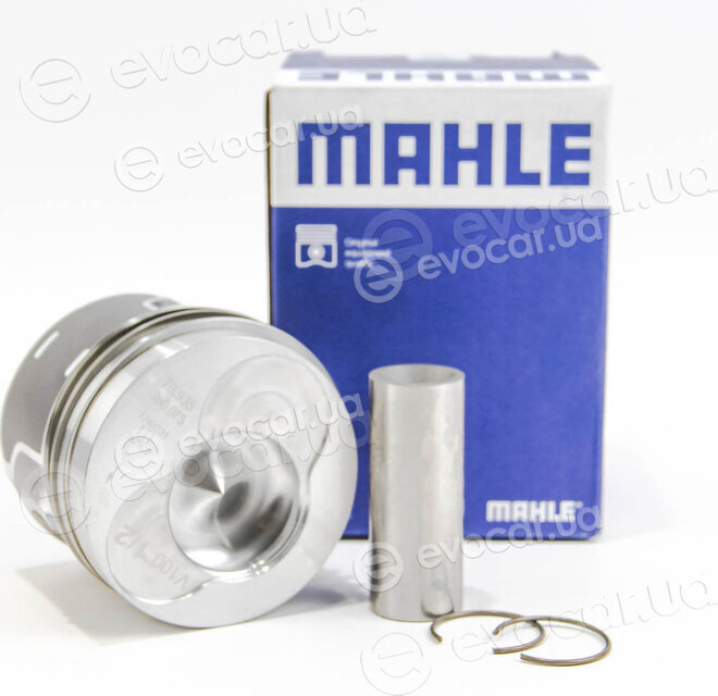 Mahle 030 86 02