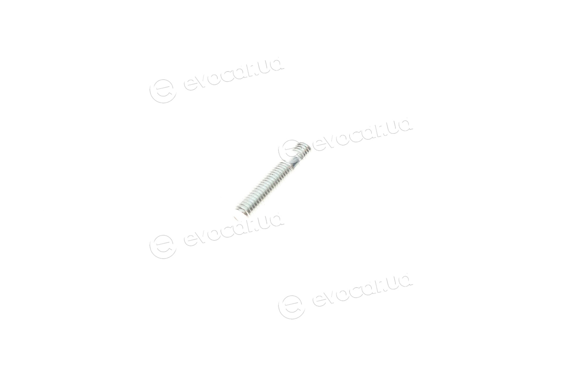 Van Wezel 37005499