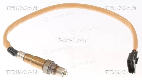 Triscan 8845 25058
