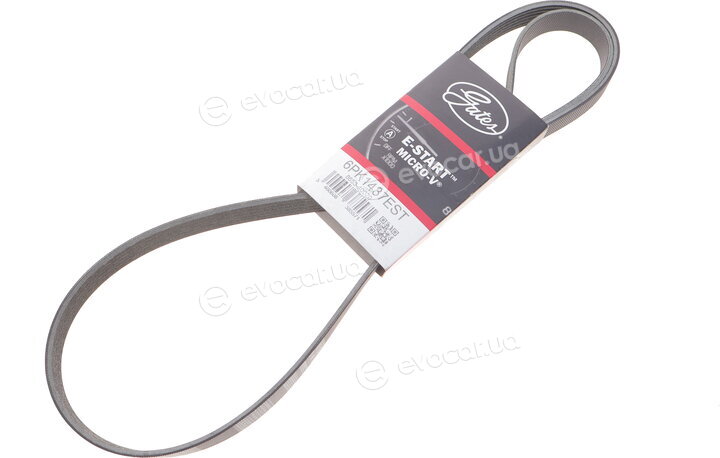 Gates 6PK1437EST