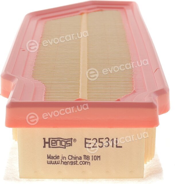 Hengst E2531L