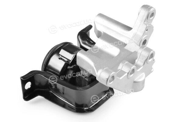 Tedgum TED37791