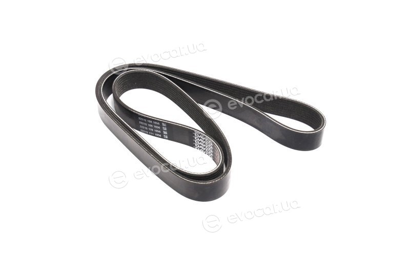 Dayco 8PK1555HD