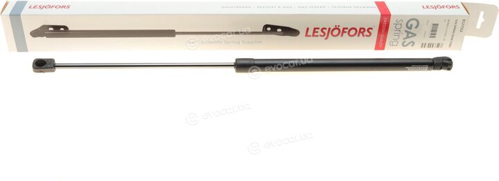 Lesjofors 8127552