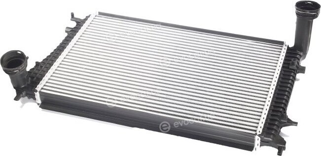 Van Wezel 58004268