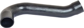 Bugiad 81631