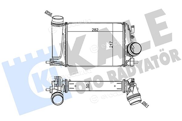 Kale 350970