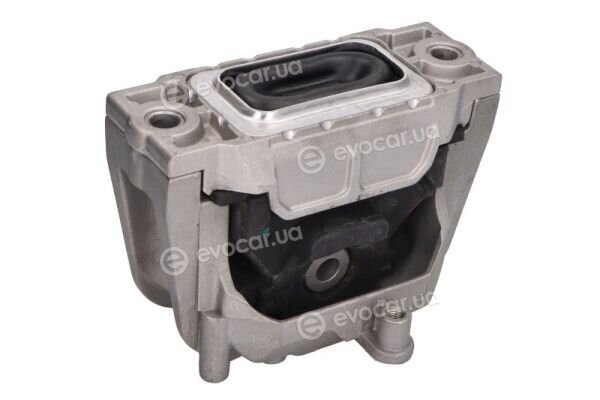 Reinhoch RH11-0157