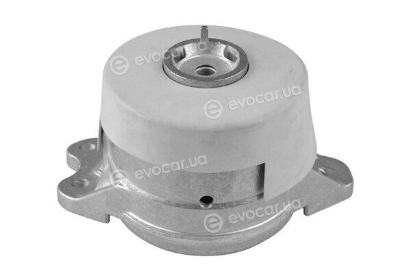Tedgum TED42670