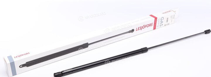 Lesjofors 8085700