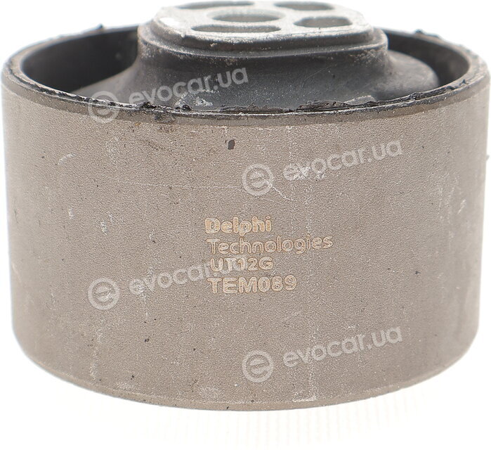 Delphi TEM089