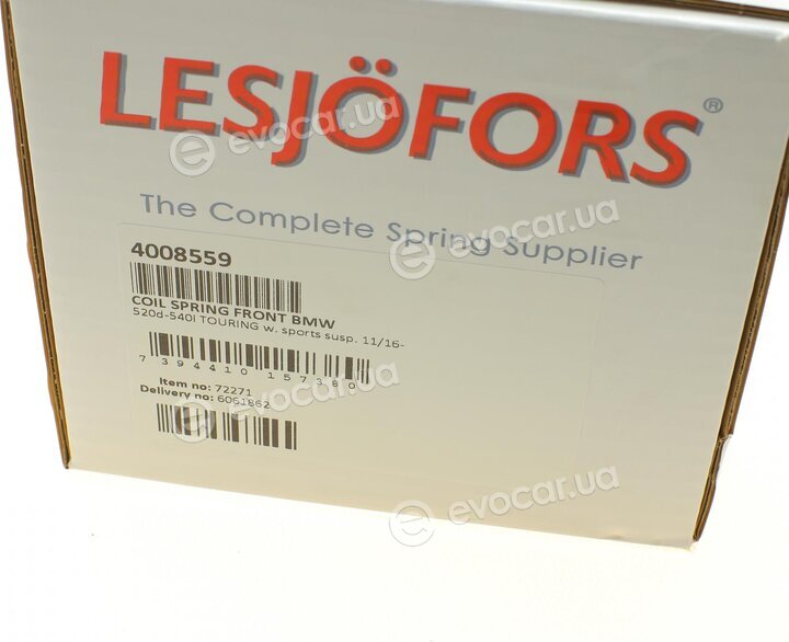 Lesjofors 4008559