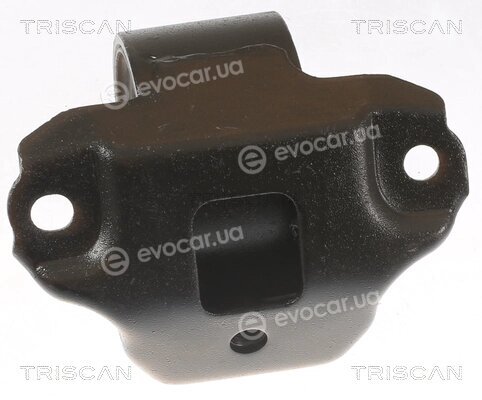 Triscan 8505 43106