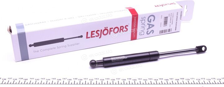 Lesjofors 8108417