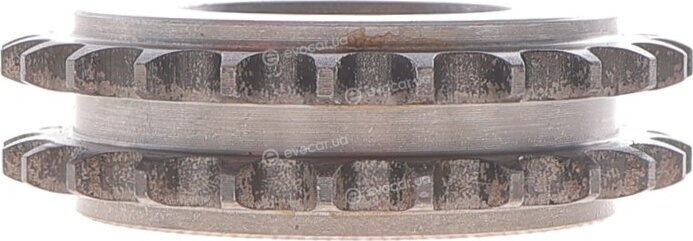 Motive TCK55