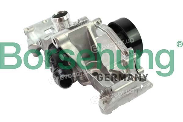 Borsehung B11216