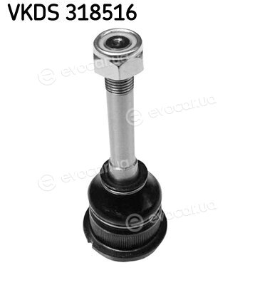 SKF VKDS 318516