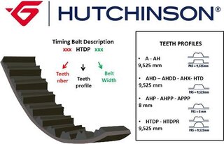 Hutchinson 116 HTDP/T 25