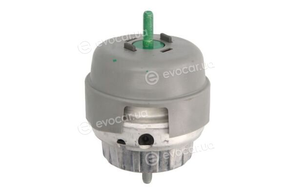 Reinhoch RH11-0078