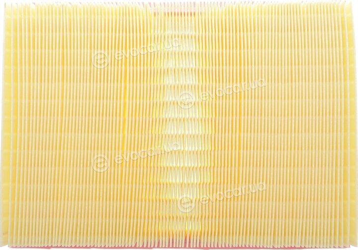 Solgy 103168