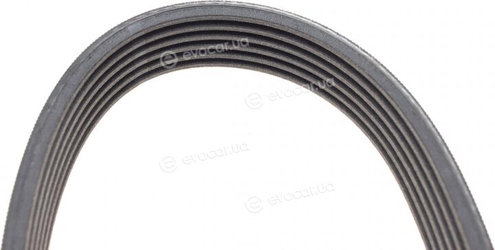 Continental 6PK1733WP3