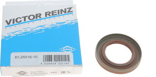 Victor Reinz 81-25516-10