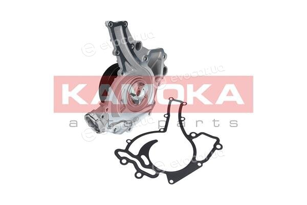 Kamoka T0195