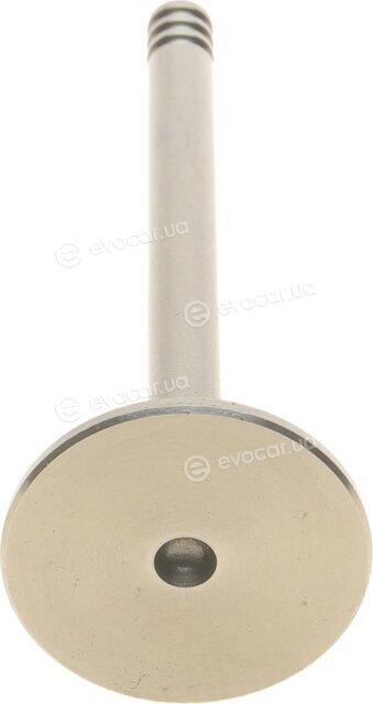 AMP PVWG022-A-0-N