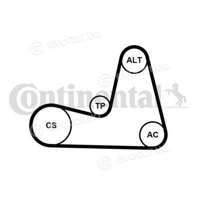 Continental 7PK1035K1