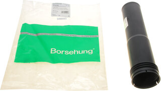 Borsehung B10153