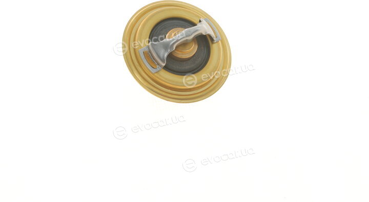 Wahler / BorgWarner 3472.87D