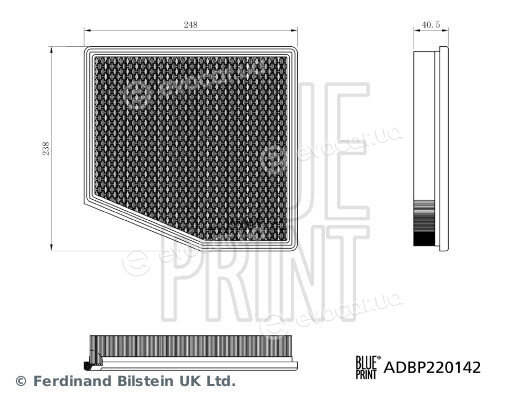 Blue Print ADBP220142