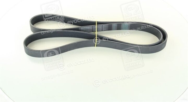 Continental 7PK1741