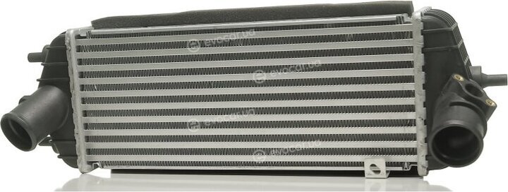 Van Wezel 83004281