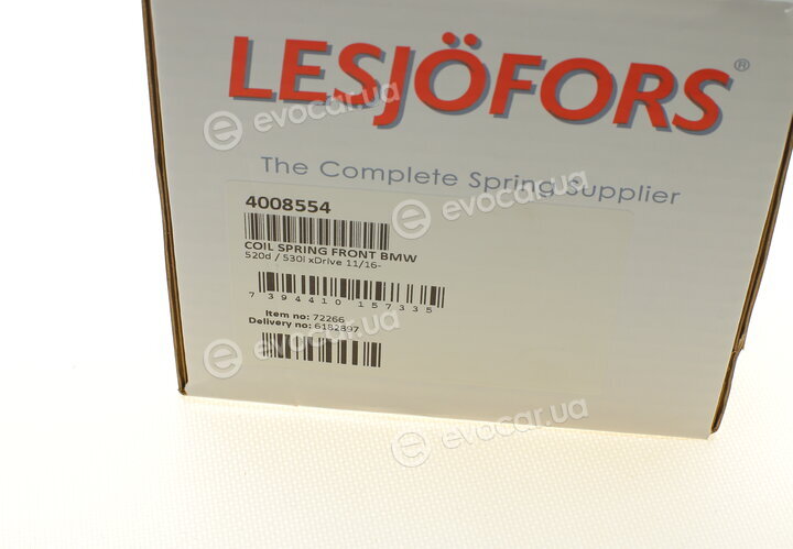 Lesjofors 4008554