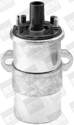 BorgWarner ZS118
