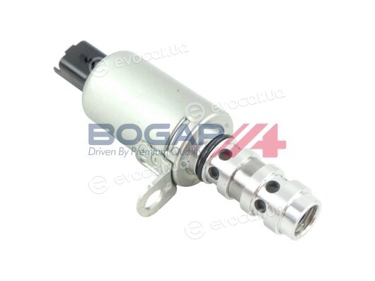 Bogap P1340100