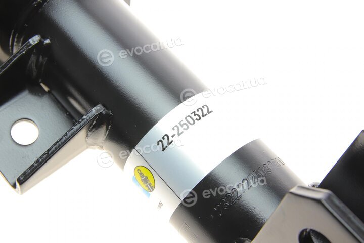 Bilstein 22-250322