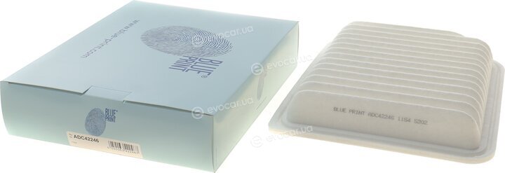 Blue Print ADC42246