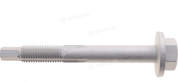 Solgy 204263