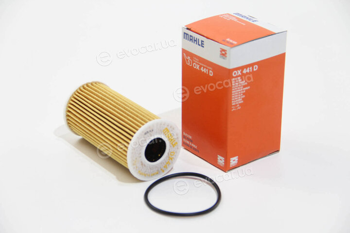 Mahle OX 441D